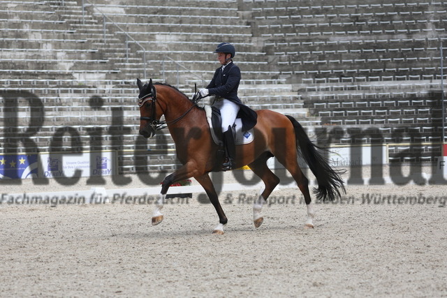 Marbach_2023_Prfg.Nr.06_Inter I_Kür_Myriam Anhalt_Rocco Granata 7 (12) | Alle Fotos der Reiterjournal Fotografin Doris Matthaes im Reiterjournal Online-Fotoshop. - Realizzato con Pictrs.com