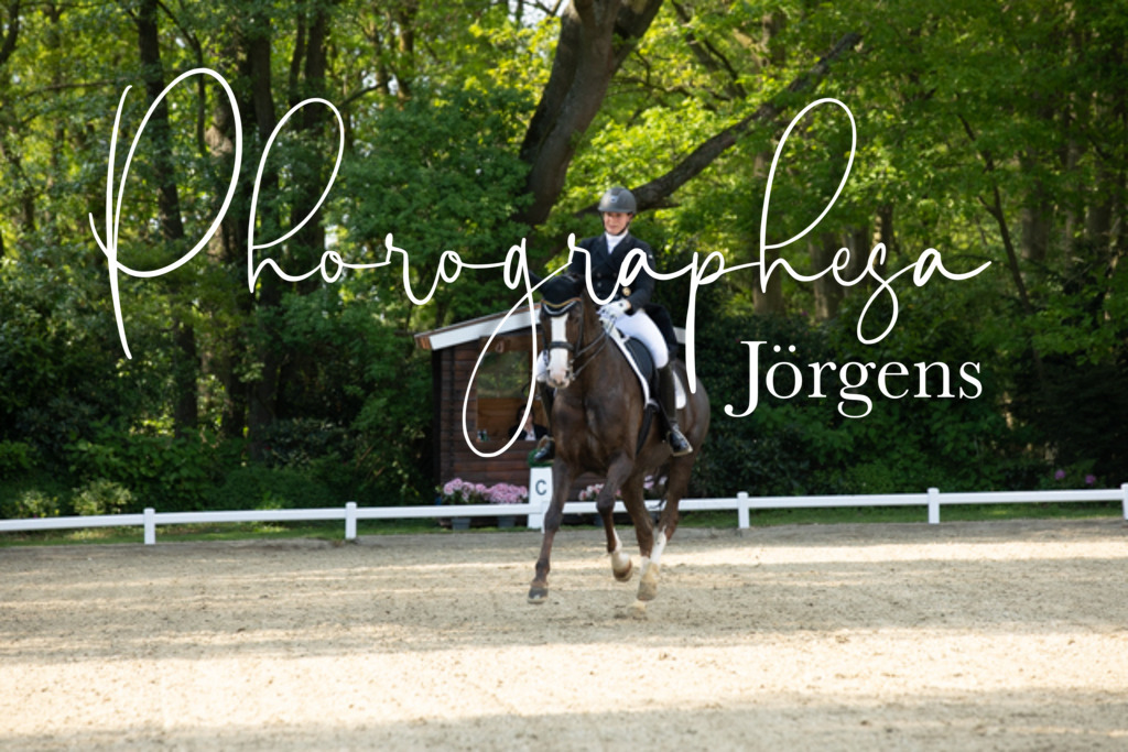 IMG_8244 | photographesa-joergens - Realisiert mit Pictrs.com