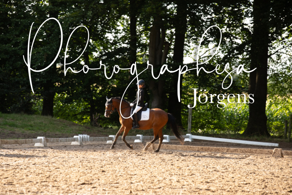 IMG_0745 | photographesa-joergens - Realisiert mit Pictrs.com