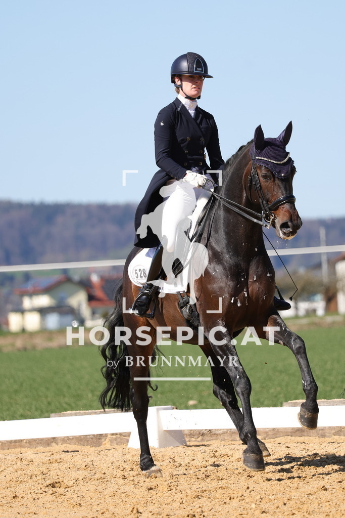 0P6A8687 | Willkommen bei Brunnmayr - Design & Fotografie – Ihrem Spezialisten für Reitturniere und Pferdeveranstaltungen in Oberösterreich, Salzburg und Bayern! Seit über 17 Jahren sind wir leidenschaftlich dabei.