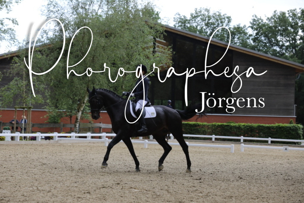 IMG_8522 | photographesa-joergens - Realisiert mit Pictrs.com