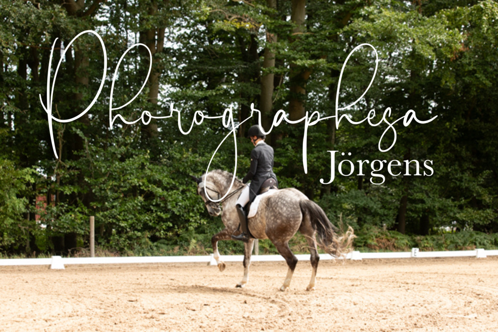 IMG_2410 | photographesa-joergens - Realisiert mit Pictrs.com