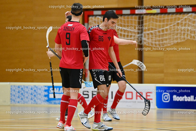 VSV Unihockey vs. Phönix Fireball 11.2.2023 | Jubel Phoenix Fireball Mannschaft, #86 Tamás Tényi