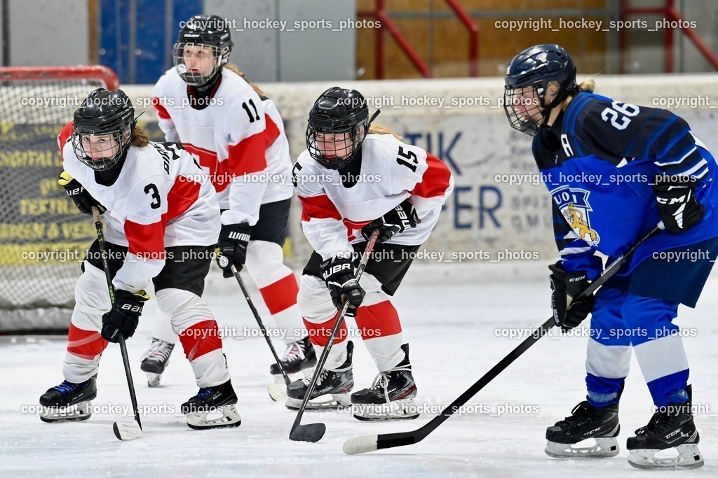 BST_3106 | hockey sports photos, Pressefotos, Sportfotos, hockey247, win 2day icehockeyleague, Handball Austria, Floorball Austria, ÖVV, Kärntner Eishockeyverband, KEHV, KFV, Kärntner Fussballverband, Österreichischer Volleyballverband, Alps Hockey League, ÖFB, 