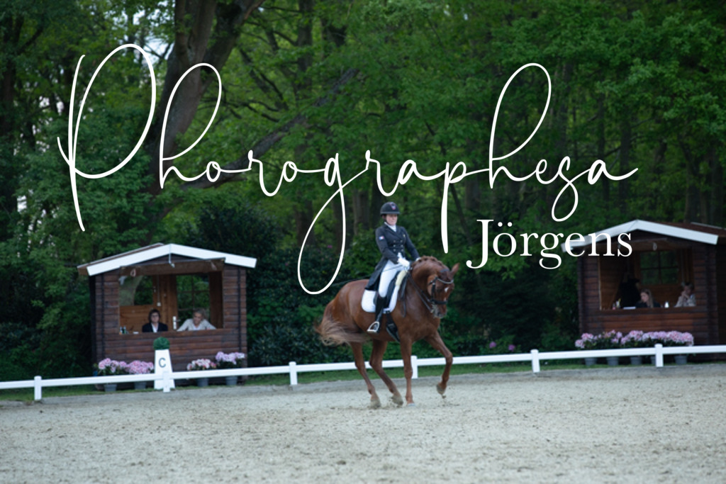 IMG_9541 | photographesa-joergens - Realisiert mit Pictrs.com
