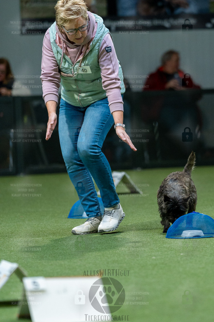 7IV03651 | Professionelle Tierfotografie in Mönchengladbach von Daniel Wirth (allesWIRTHgut). Liebevolle & natürliche Bilder von Hunden & Katzen für unvergessliche Erinnerungen.