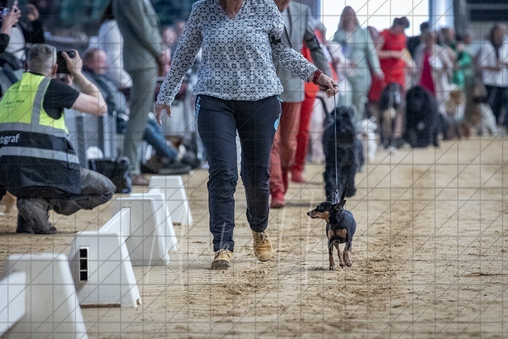 DS - Bester Veteran_0018 | Markus Heber Photography