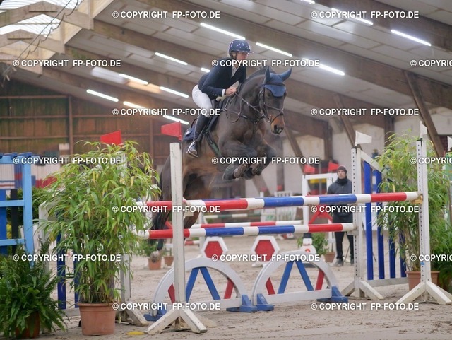 P0131826.t | FP-Foto.de - Realisiert mit Pictrs.com