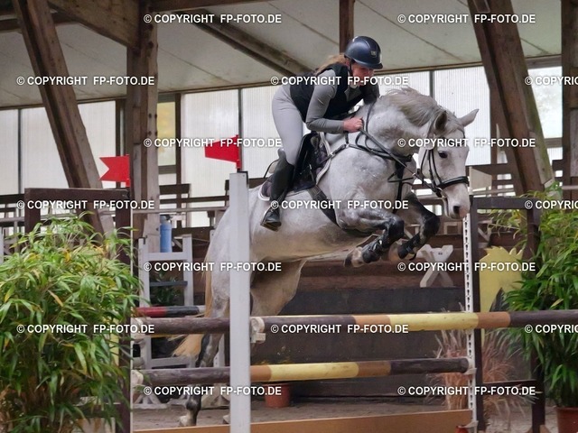 PVOG0037.t | FP-Foto.de - Realisiert mit Pictrs.com