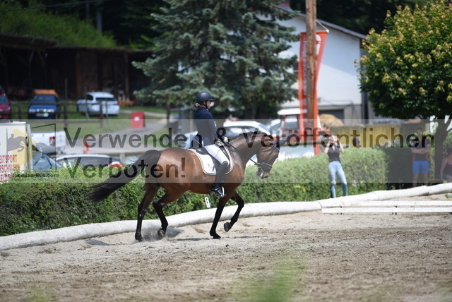 DSC_0464 | equestrian-live-com