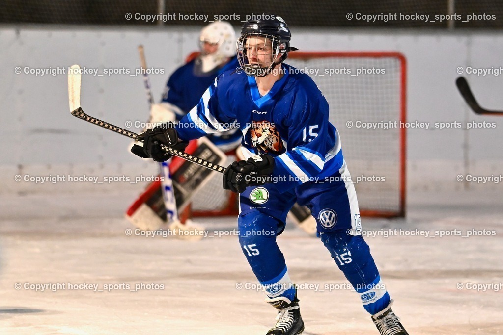 EC Ice Tigers Paternion vs. DSG Ledenitzen Faakersee 14.1.2024 | #15 Rauter Johann