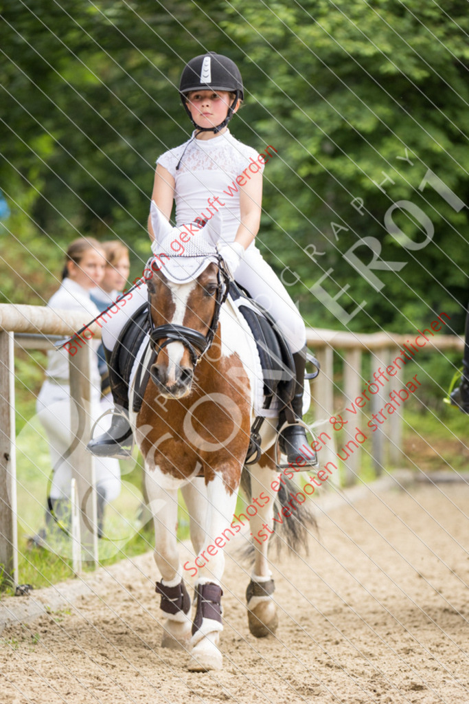 IMG_8791 | Hier findest Du viele Augenblicke aus den Bereichen der Turnier-, Sport- & Tierfotografie. Bilder mit deinem Liebling, Portrait-, Bewerbungs-, Businessbilder können ebenfalls schnell und einfach erstellt werden.