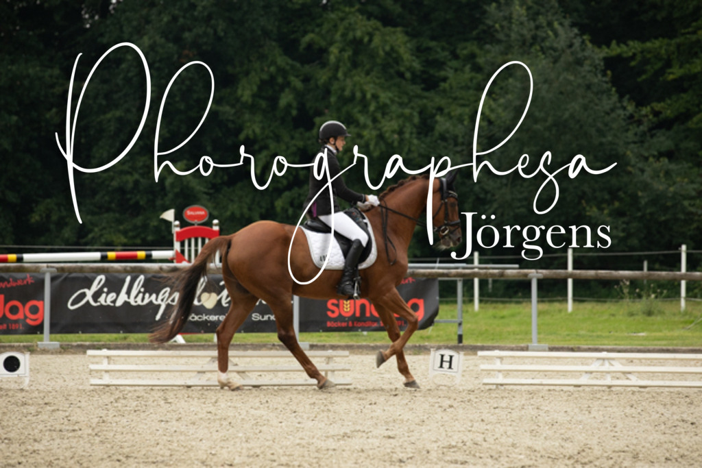 IMG_5672 | photographesa-joergens - Realisiert mit Pictrs.com