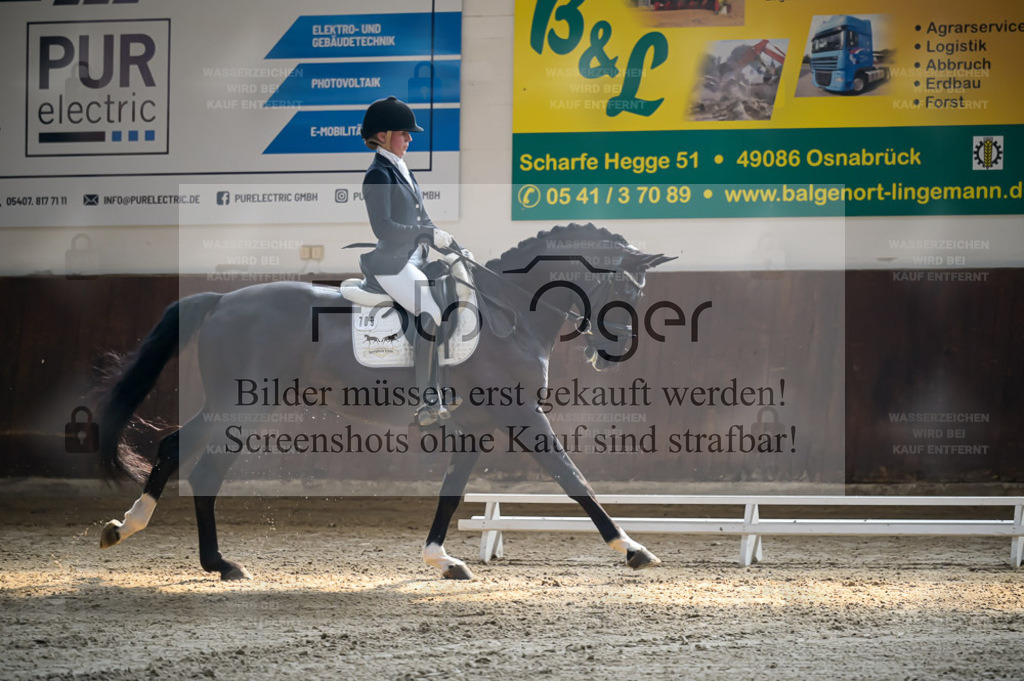 Reitturnier Voxtrup | Bilder aus dem Reitsport by Foto Oger - Domenic Schlinge - Realisiert mit Pictrs.com