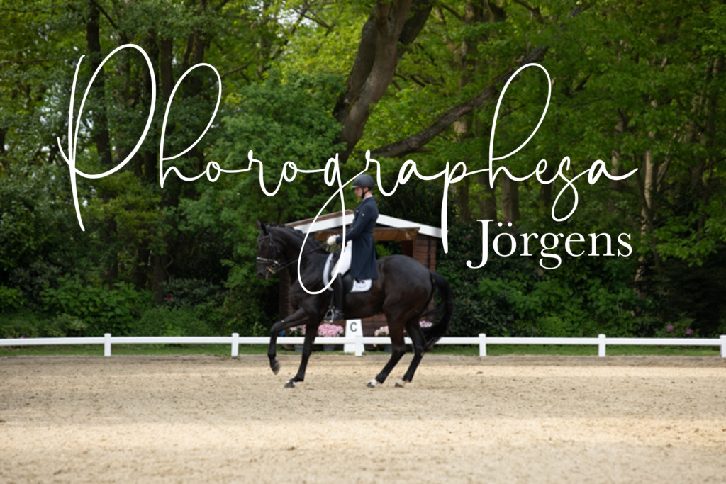 IMG_2844 | photographesa-joergens - Realisiert mit Pictrs.com