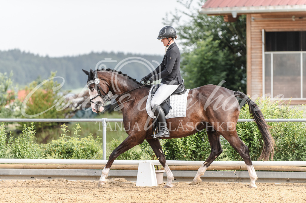 TBL_7362 | Turnierfotos von Reitturnieren in den Landkreisen Biberach, Ravensburg und in ganz Oberschwaben - von Tanja Bläschke - Colorsofahorse - Realisiert mit Pictrs.com