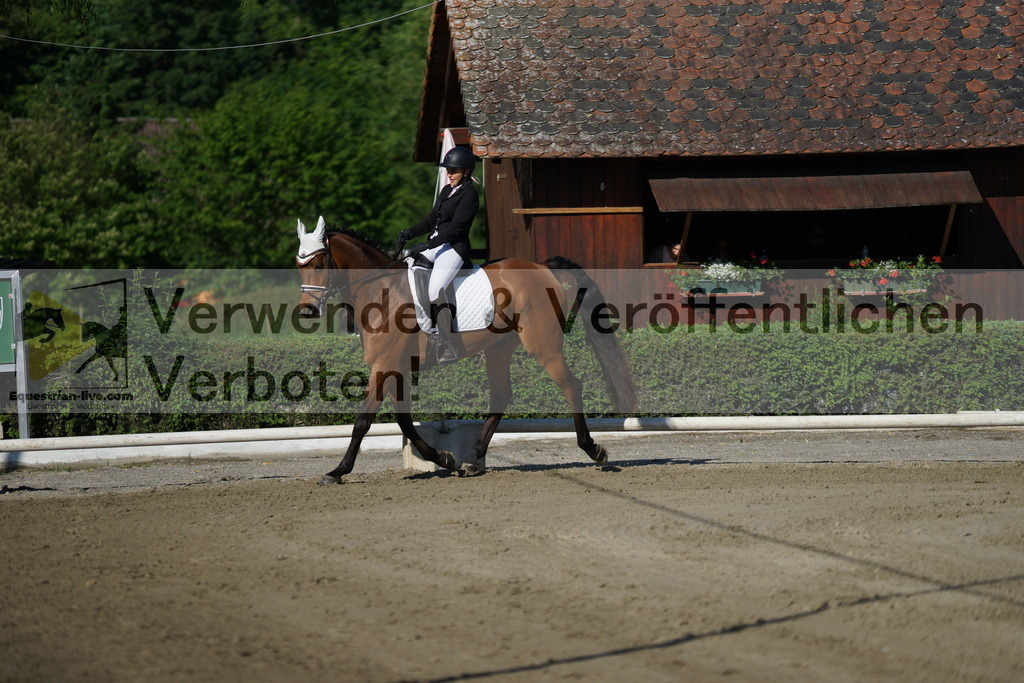 DSC04121 | equestrian-live-com