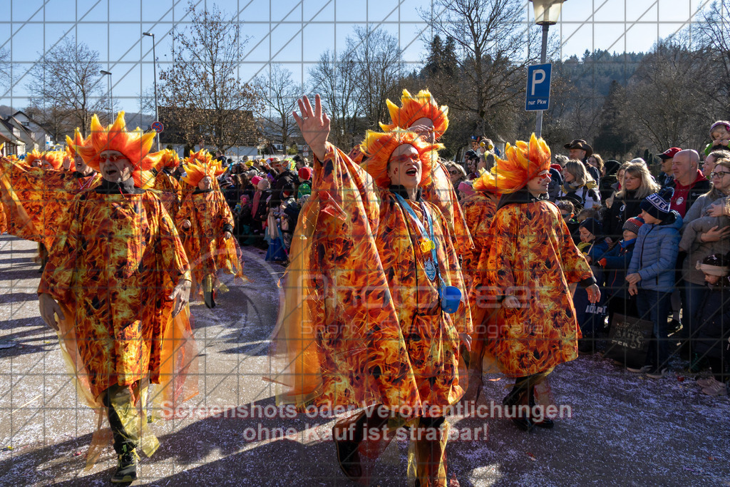 20250302_145348_1539 | #,Donzdorfer Fasnetsumzug, Kulturring Donzdorf, Donzdorfer Fasnet, Kampagne 2025, Friedhofstraße, 73072 Donzdorf, 02.03.2025 - 14:00 Uhr,Foto: PhotoPeet-Eventfotografie/Peter Harich