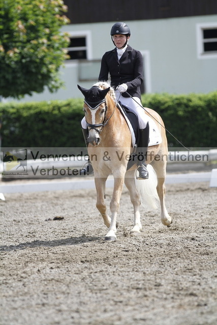 _MG_9793 | equestrian-live-com