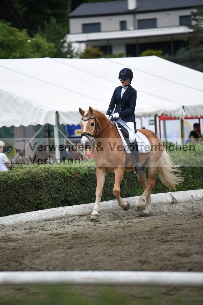 DSC_3452 | equestrian-live-com