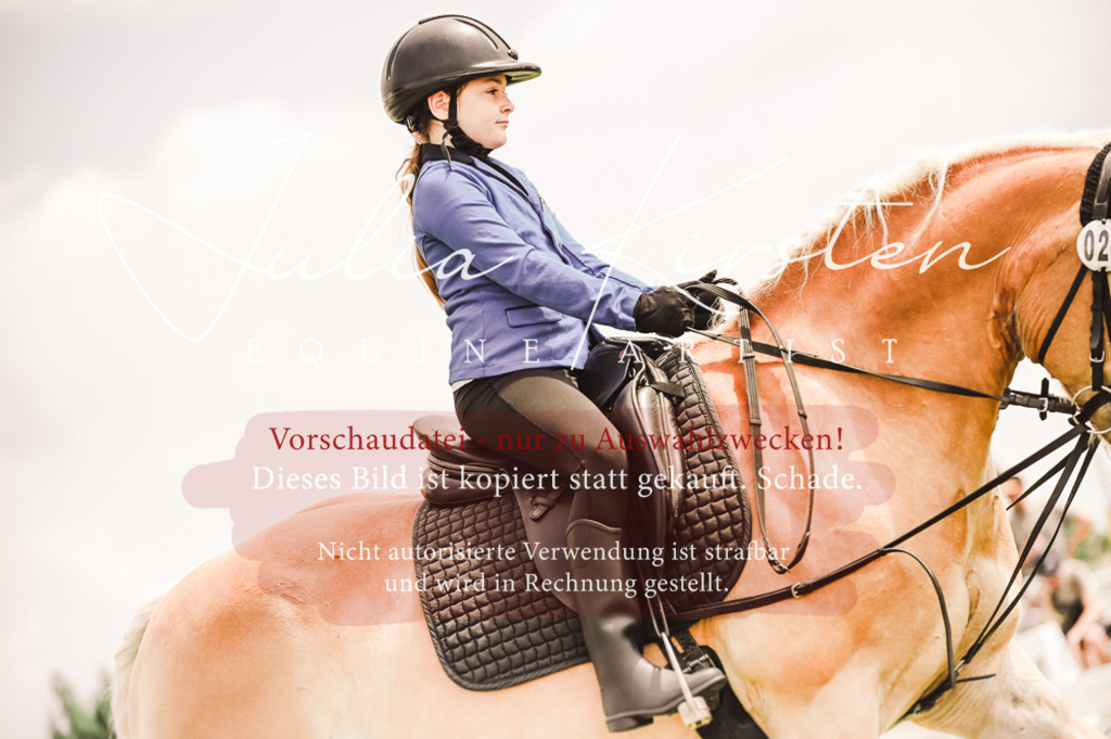 DSC_5556 | Pferde- und Turnierfotografie in Westsachsen. Pferdeportraits, Auftragszeichnungen und intuitive Kunst.