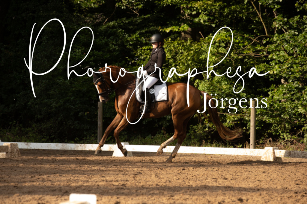 IMG_1029 | photographesa-joergens - Realisiert mit Pictrs.com