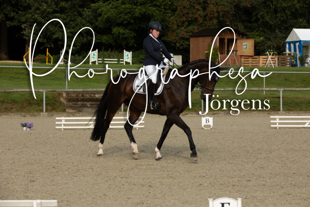 IMG_6901 | photographesa-joergens - Realisiert mit Pictrs.com