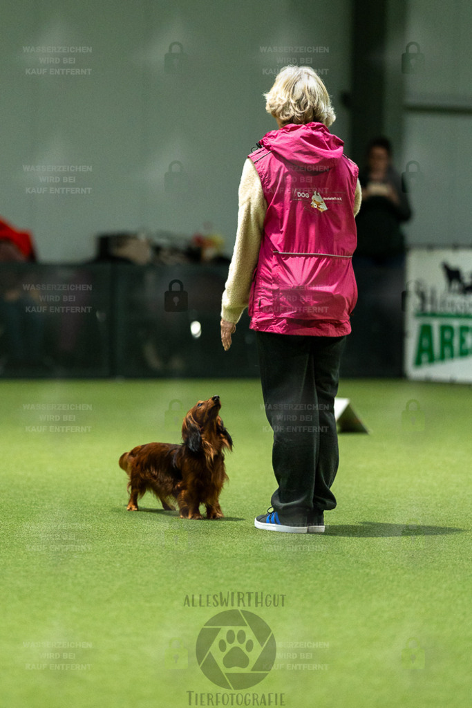 7IV03014 | Professionelle Tierfotografie in Mönchengladbach von Daniel Wirth (allesWIRTHgut). Liebevolle & natürliche Bilder von Hunden & Katzen für unvergessliche Erinnerungen.