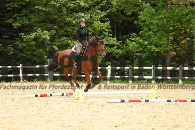 8er-Team_Lehrgang_Springen_Gruppe_02 (41) | Alle Fotos der Reiterjournal Fotografin Doris Matthaes im Reiterjournal Online-Fotoshop. - Realisiert mit Pictrs.com