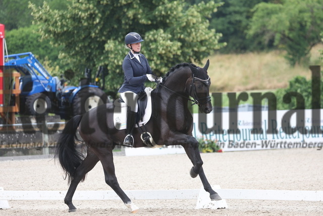 Weilheim_2023_Prfg.Nr.20_Reitpferdeprüfung_3u.4jähr.Hengste_Anna Casper_Elocin (30) | Alle Fotos der Reiterjournal Fotografin Doris Matthaes im Reiterjournal Online-Fotoshop. - Realisiert mit Pictrs.com