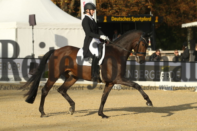 Ludwigsburg_2022_Prfg.Nr.02_FEI Intermediaire I_Mathilde Koefoed-Nielsen_Odin Unik (2) | Alle Fotos der Reiterjournal Fotografin Doris Matthaes im Reiterjournal Online-Fotoshop. - Realized with Pictrs.com