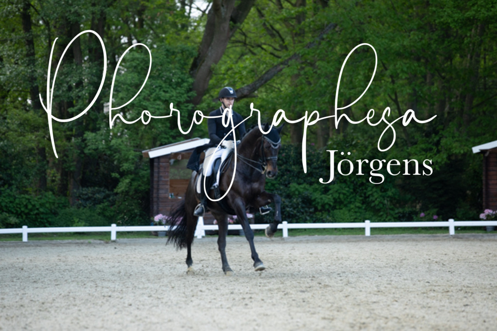 IMG_9401 | photographesa-joergens - Realisiert mit Pictrs.com