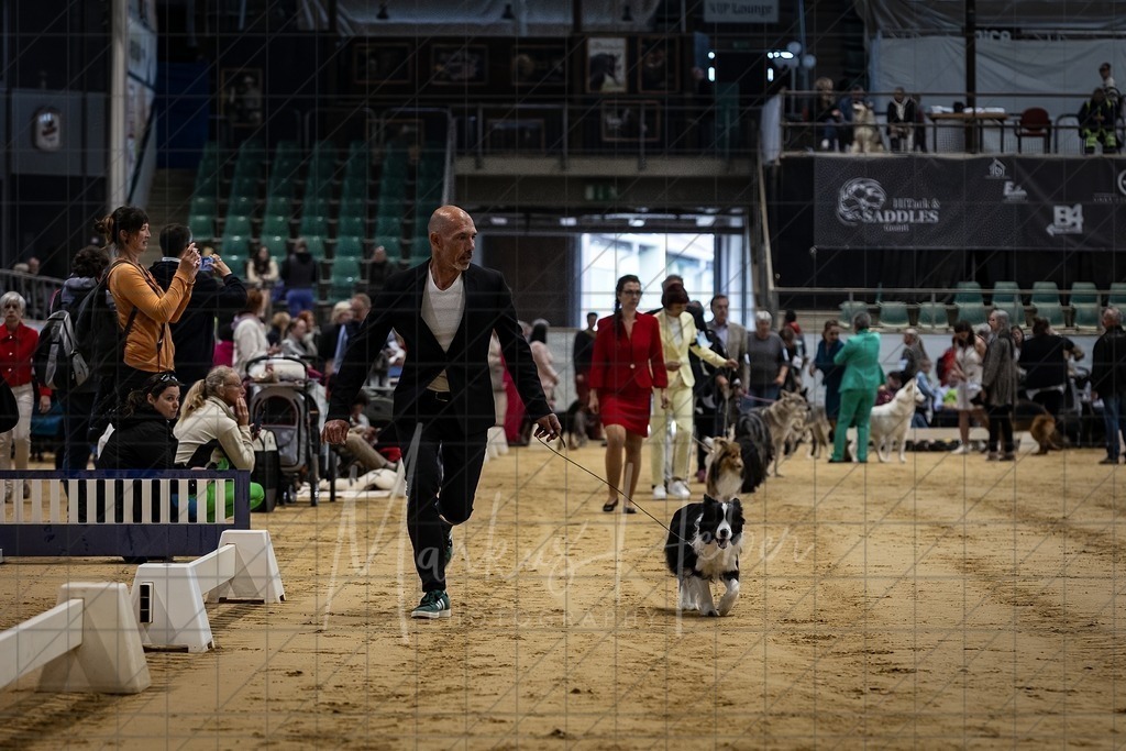 DS - FCI Gruppe 1_0021 | Markus Heber Photography