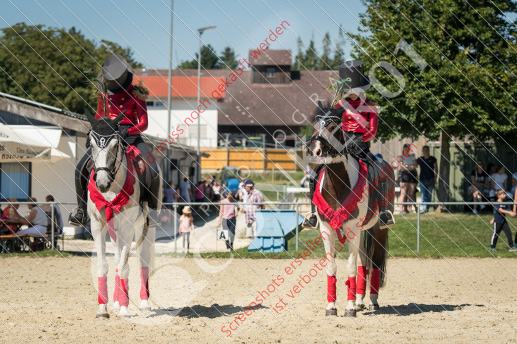 ND5_9591 | Hier findest Du viele Augenblicke aus den Bereichen der Turnier-, Sport- & Tierfotografie. Bilder mit deinem Liebling, Portrait-, Bewerbungs-, Businessbilder können ebenfalls schnell und einfach erstellt werden.