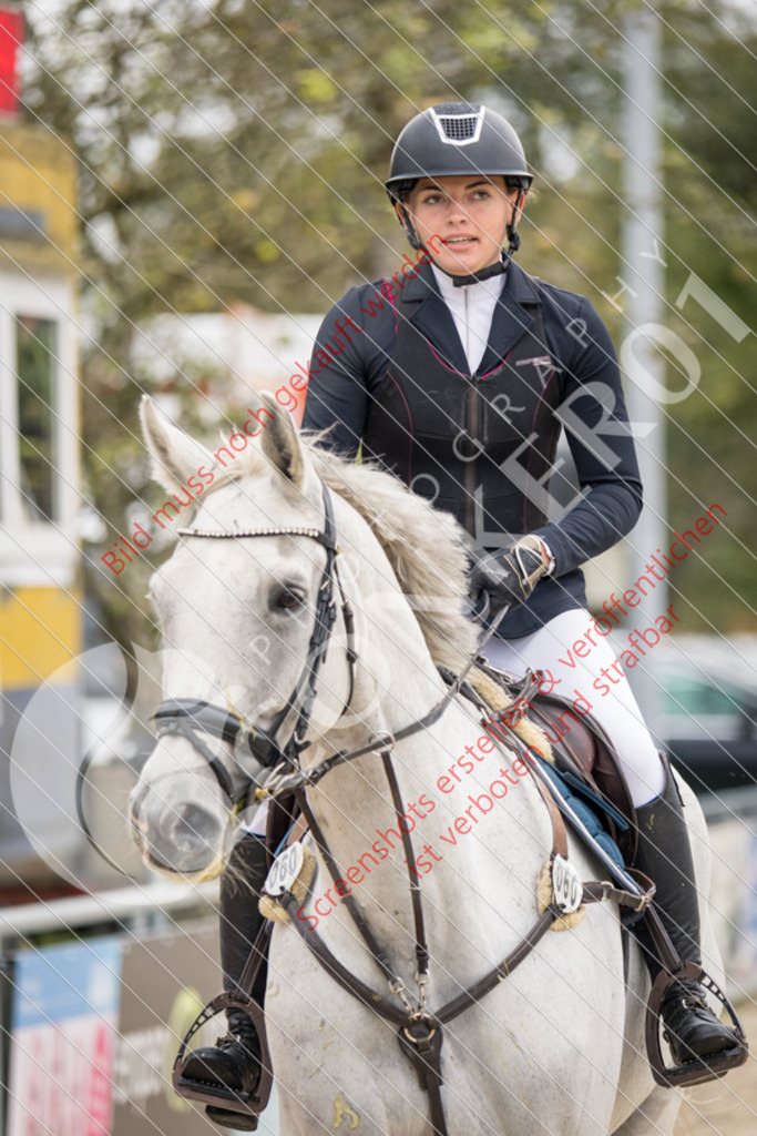 IMG_6231 | Hier findest Du viele Augenblicke aus den Bereichen der Turnier-, Sport- & Tierfotografie. Bilder mit deinem Liebling, Portrait-, Bewerbungs-, Businessbilder können ebenfalls schnell und einfach erstellt werden.