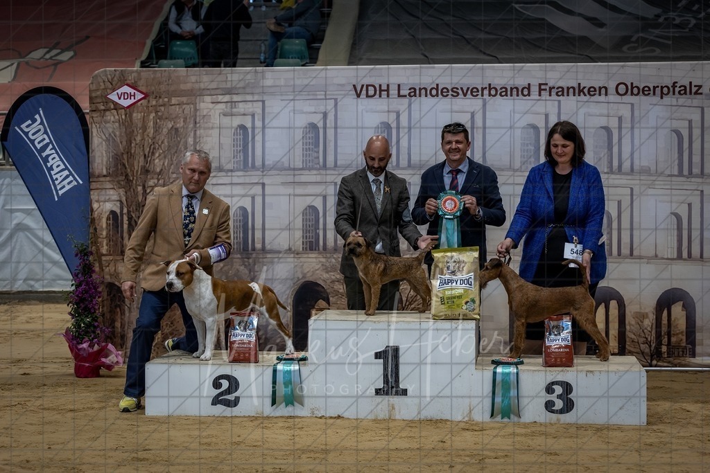 DS - FCI Gruppe 3_0108 | Markus Heber Photography