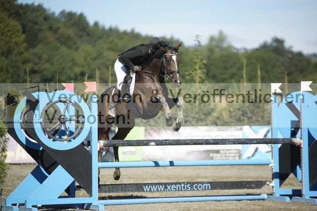 _DSC3874 | equestrian-live-com