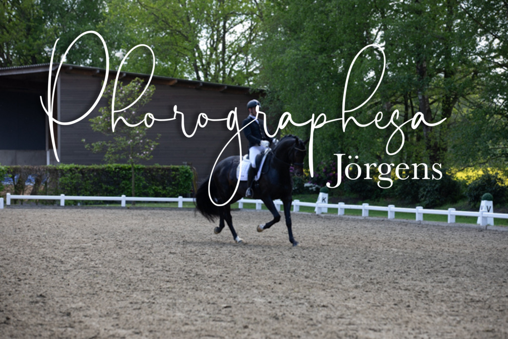 IMG_9230 | photographesa-joergens - Realisiert mit Pictrs.com