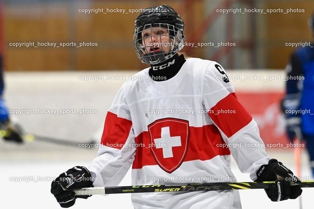 BST_3243 | hockey sports photos, Pressefotos, Sportfotos, hockey247, win 2day icehockeyleague, Handball Austria, Floorball Austria, ÖVV, Kärntner Eishockeyverband, KEHV, KFV, Kärntner Fussballverband, Österreichischer Volleyballverband, Alps Hockey League, ÖFB, 