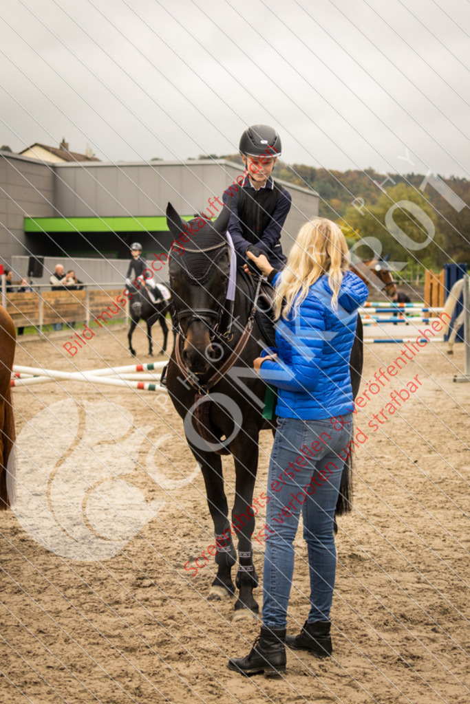 IMG_9042 | Hier findest Du viele Augenblicke aus den Bereichen der Turnier-, Sport- & Tierfotografie. Bilder mit deinem Liebling, Portrait-, Bewerbungs-, Businessbilder können ebenfalls schnell und einfach erstellt werden.