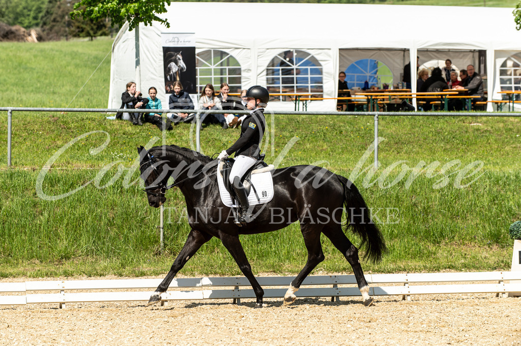 TBL_3796 | Turnierfotos von Reitturnieren in den Landkreisen Biberach, Ravensburg und in ganz Oberschwaben - von Tanja Bläschke - Colorsofahorse - Realisiert mit Pictrs.com