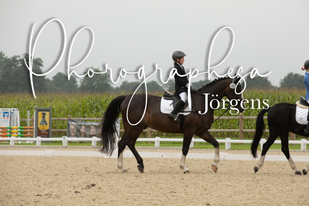 IMG_1637 | photographesa-joergens - Realisiert mit Pictrs.com