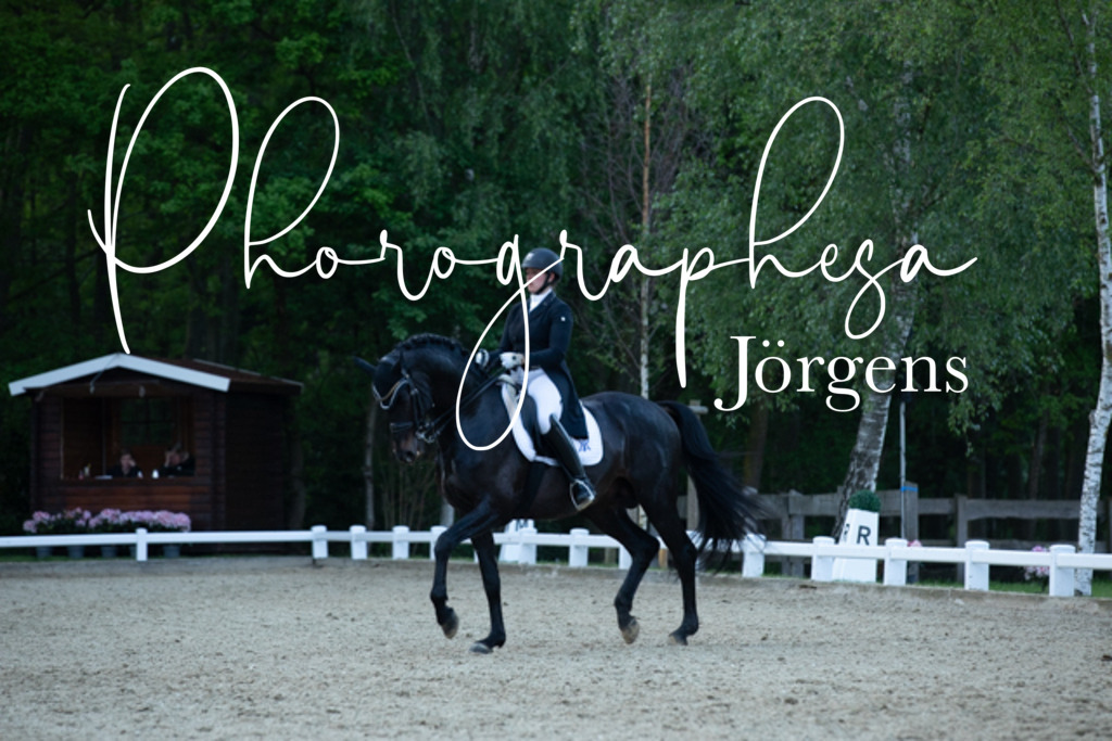 IMG_9736 | photographesa-joergens - Realisiert mit Pictrs.com