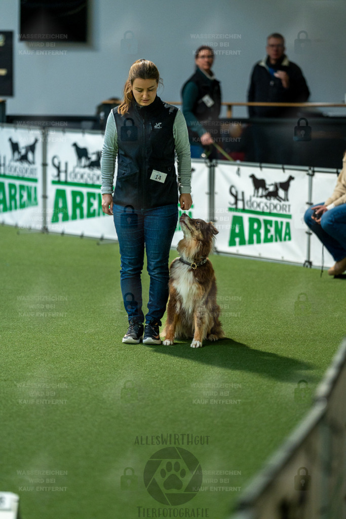 7IV03025 | Professionelle Tierfotografie in Mönchengladbach von Daniel Wirth (allesWIRTHgut). Liebevolle & natürliche Bilder von Hunden & Katzen für unvergessliche Erinnerungen.