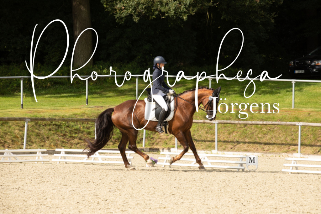 IMG_7987 | photographesa-joergens - Realisiert mit Pictrs.com