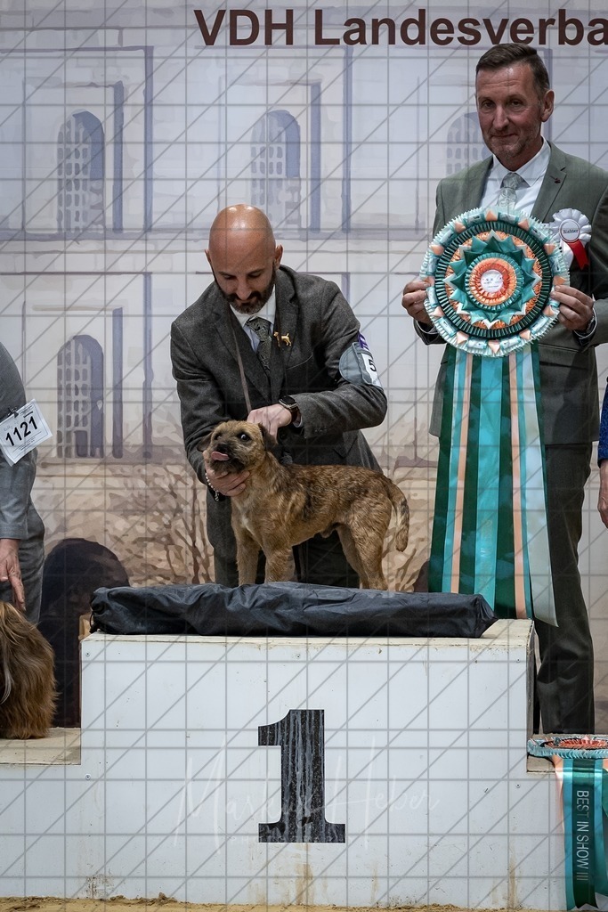 DS - Best in Show_0028 | Markus Heber Photography