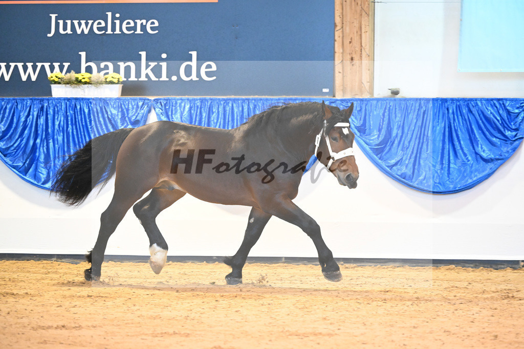Kat-Nr. 1 nn v. Rivero_Mayr_61220805 | hf-fotografie - Realisiert mit Pictrs.com