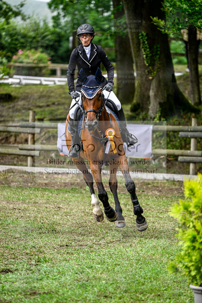 Bissendorfer Reitertage | Bilder aus dem Reitsport by Foto Oger - Domenic Schlinge - Realisiert mit Pictrs.com