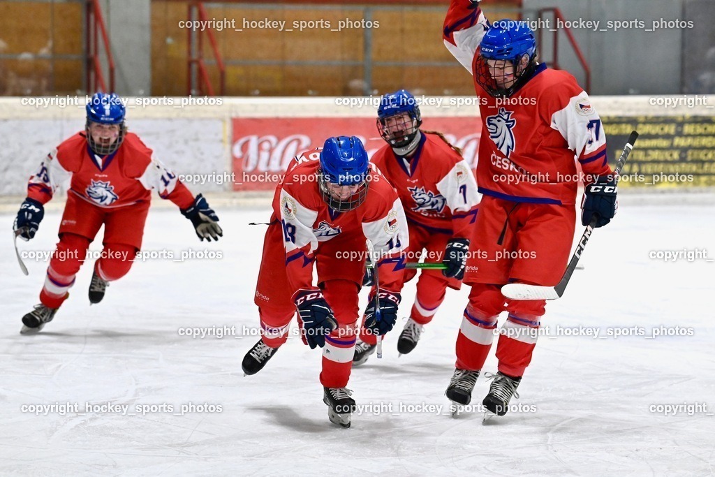 BST_6081 | hockey sports photos, Pressefotos, Sportfotos, hockey247, win 2day icehockeyleague, Handball Austria, Floorball Austria, ÖVV, Kärntner Eishockeyverband, KEHV, KFV, Kärntner Fussballverband, Österreichischer Volleyballverband, Alps Hockey League, ÖFB, 