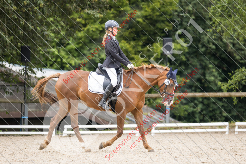 IMG_6725 | Hier findest Du viele Augenblicke aus den Bereichen der Turnier-, Sport- & Tierfotografie. Bilder mit deinem Liebling, Portrait-, Bewerbungs-, Businessbilder können ebenfalls schnell und einfach erstellt werden.